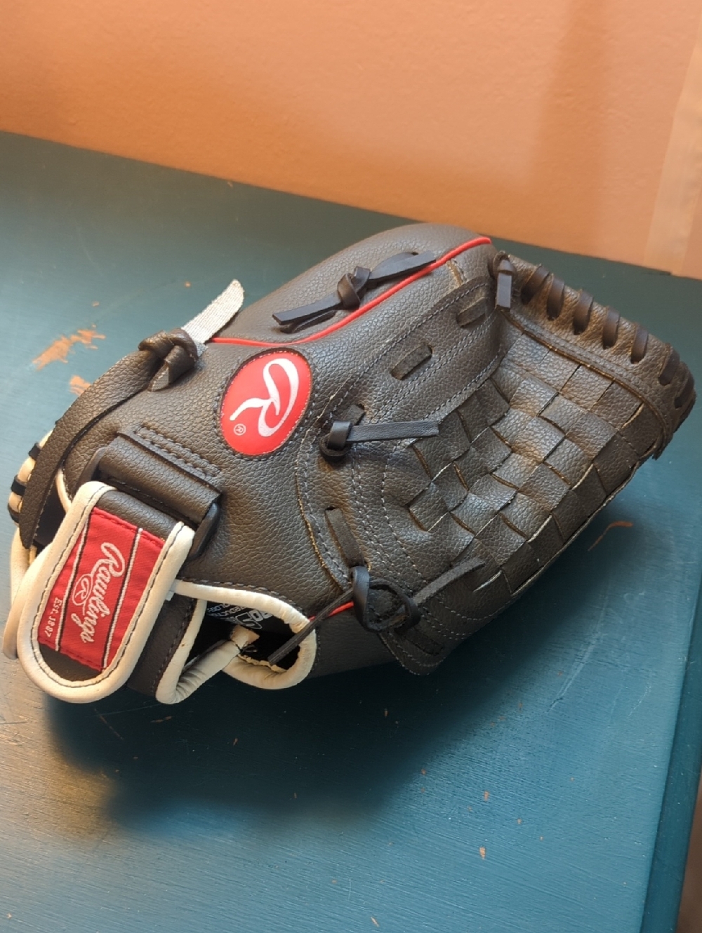 Rawlings Black and Red Woven Leather Baseball Glove